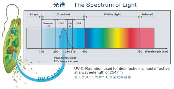 科普！紫外線殺菌燈對人體影響及正確使用方法
