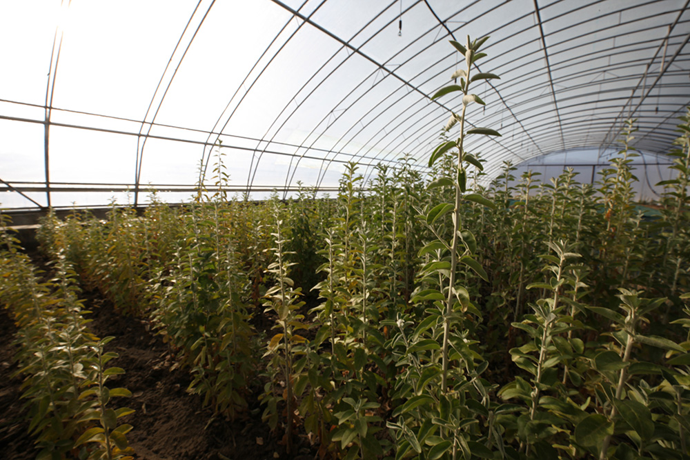 1548033734593115.jpg IMG_8860.jpg