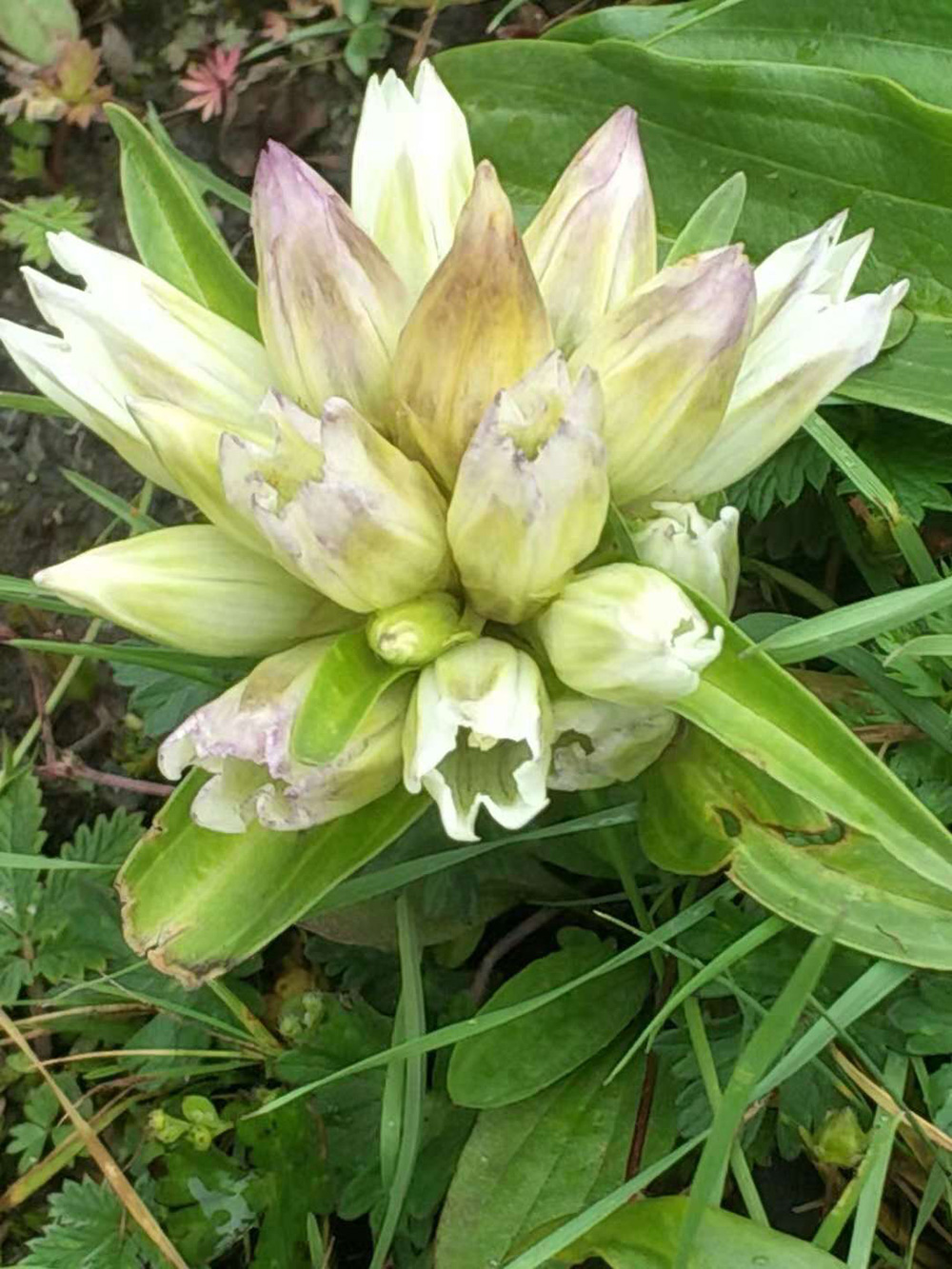 1548034790774657.jpg 微信圖片_20181105104140.jpg