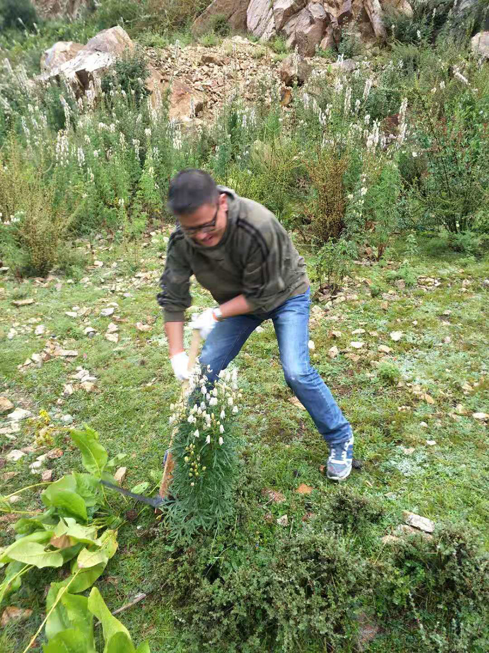 1548034793186979.jpg 微信圖片_20181105104054.jpg